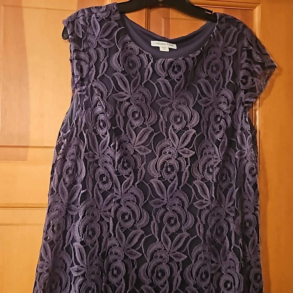 Pewter Lace Sheath Dress - Picture 1 of 8